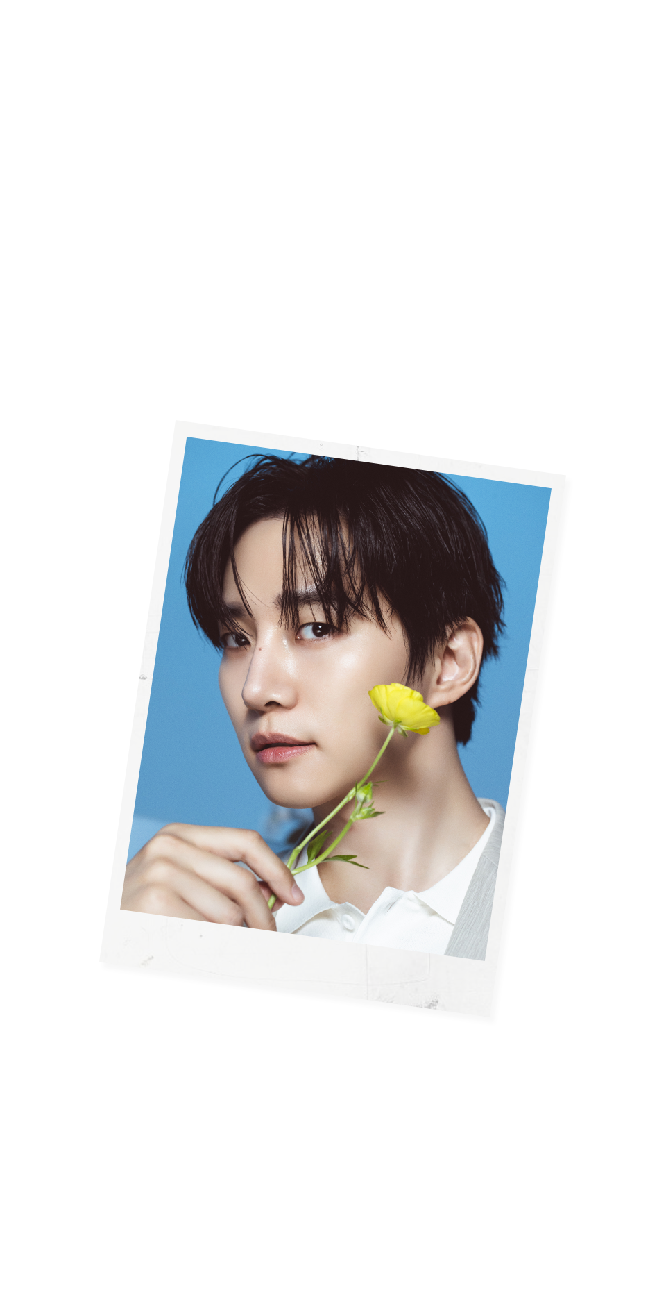 �����佺Ÿ ����